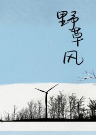 野草风长